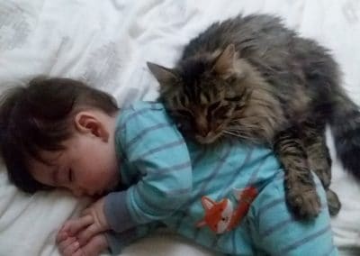 Baby Adler with Kitty Tuco curled up taking a nap together.