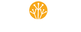 CFGV Logo with white text.