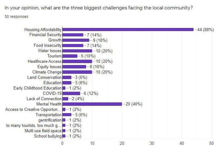 In our survey, the top three biggest challenges facing the local community were housing affordability, financial security, and growth.