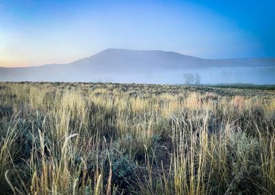 morning fog over sage and grassland with a mountain in the background