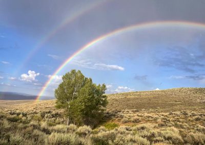 double rainbow across a blue sky over sage country with a tree in the foreground