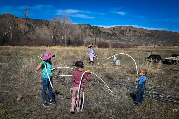 Calder Farm Volunteer Day group of kids helping with farm chores on a spring day