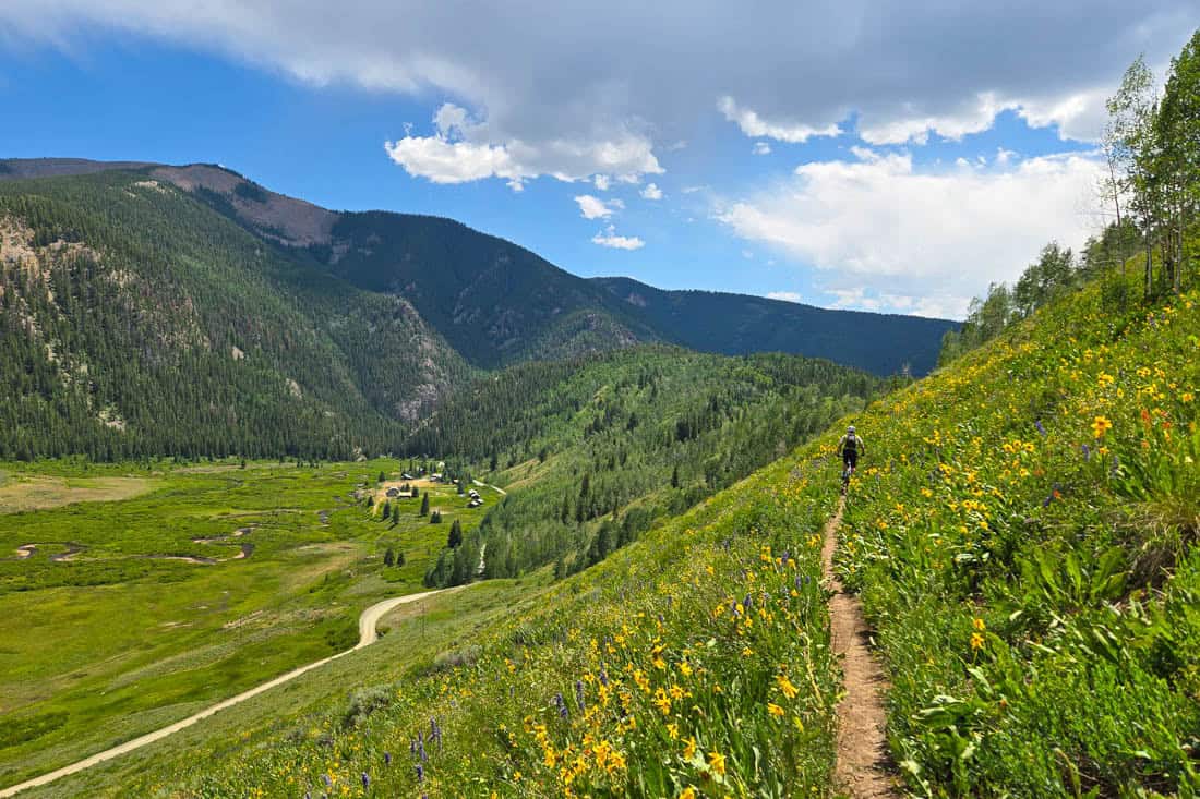 mountain biker riding across a meadow of wildflowers with meandering Cement Creek below